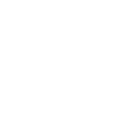 euro